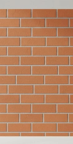 Mittiking Home Banner Image-2.1