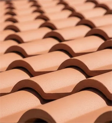 Mittiking Product Img-12