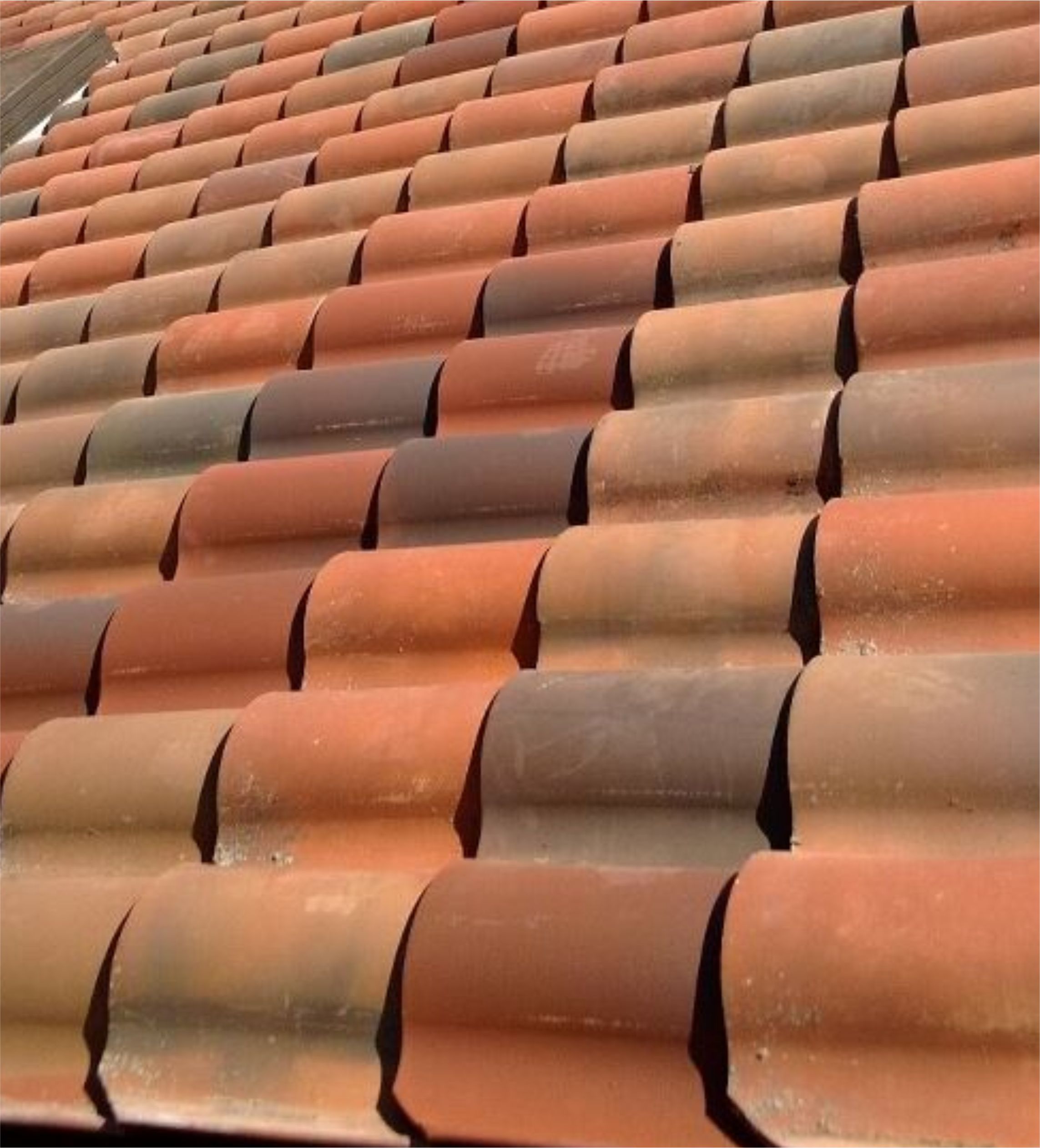 Mittiking Product Img-13